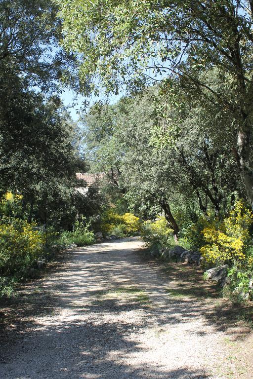 Вілла A L'Est D'Uzes Saint-Siffret Екстер'єр фото