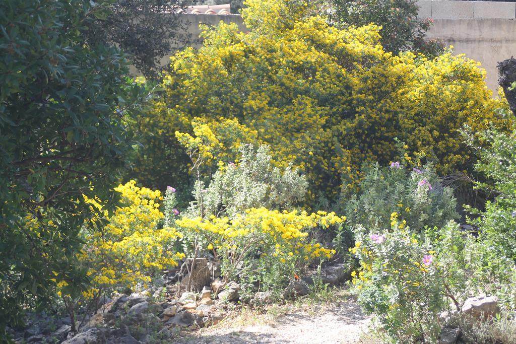 Вілла A L'Est D'Uzes Saint-Siffret Екстер'єр фото