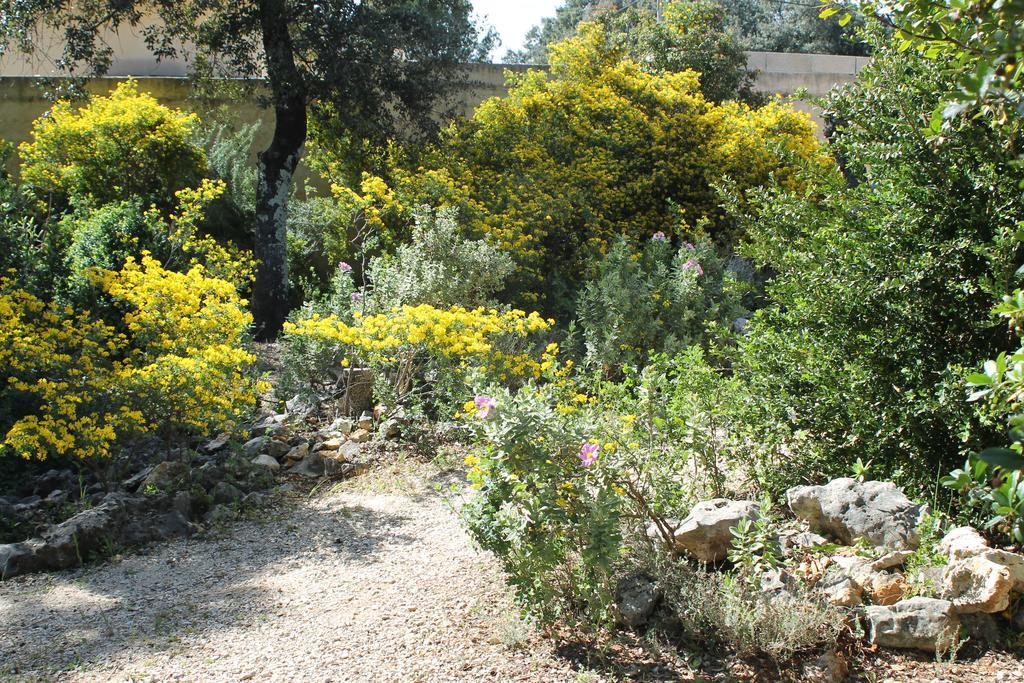 Вілла A L'Est D'Uzes Saint-Siffret Екстер'єр фото